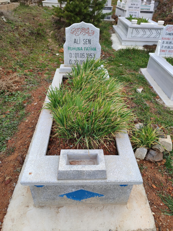 ALİ ŞEN