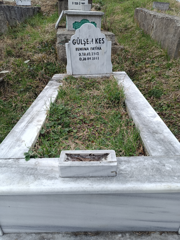 GÜLŞEN  KES